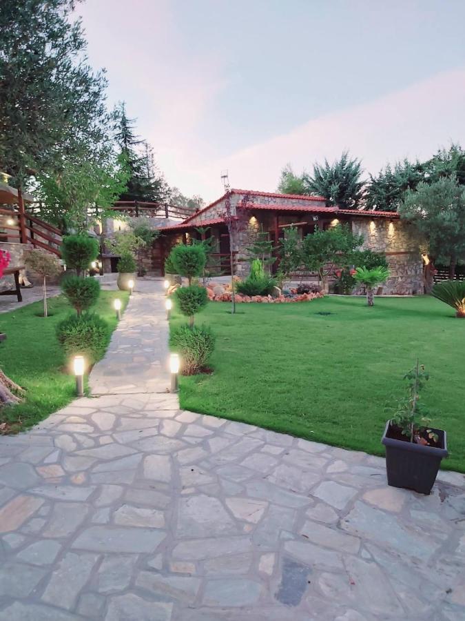 Dimitris' Villas - Villa 3 Ормос Пангиас Екстериор снимка